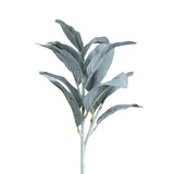 Lamb's Ear Pick